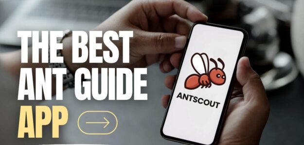 AntScout